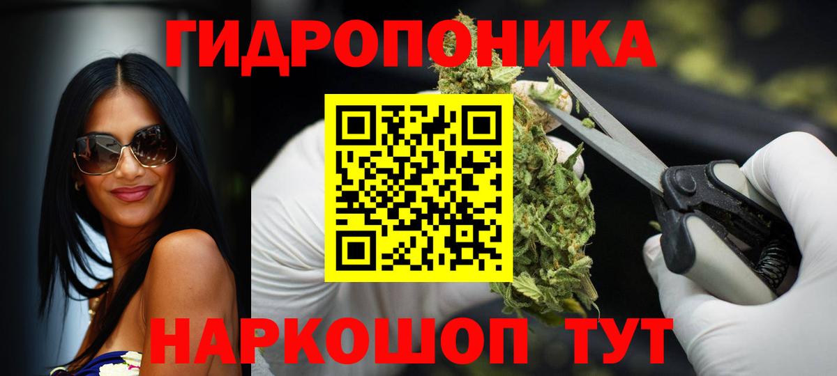 Каннабис план Рубцовск